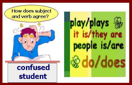 Subject Verb Agreement Flashcards 